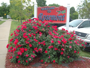 Home Page Image